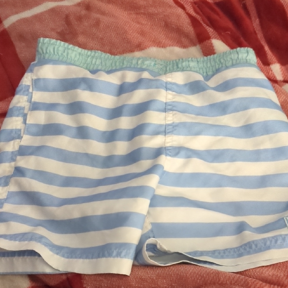 Blue and White Striped Shorts